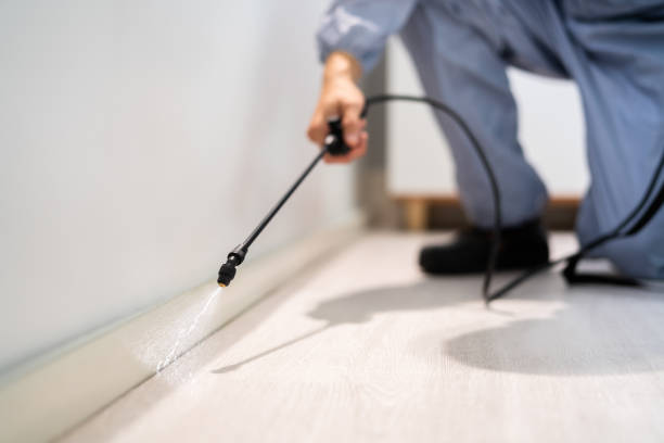 Rodent Entry Point Assessment in Los Gatos