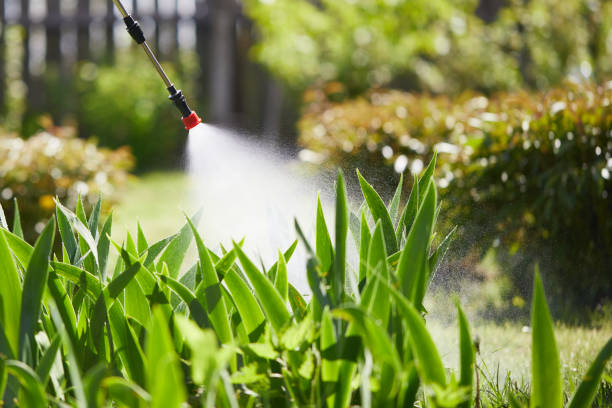 Tamper-Resistant Bait Stations for Rodents in Los Gatos