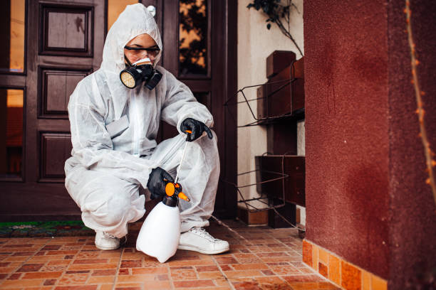 Attic and Crawl Space Rodent Treatment in Los Gatos