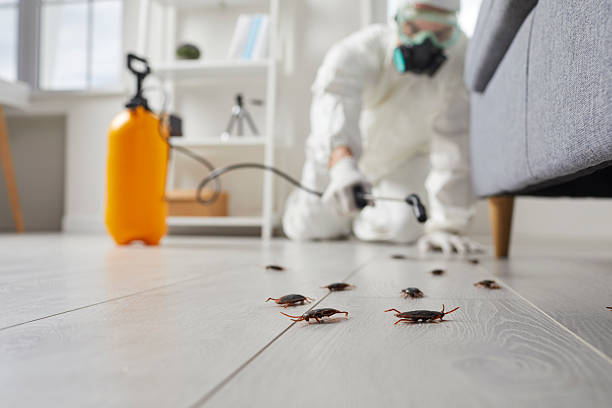 Commercial Rodent Management in Los Gatos
